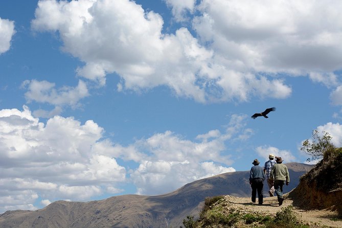 Full Day Condor Viewpoint & Inca Sites Tour - Private Service - Highlights of the Tour