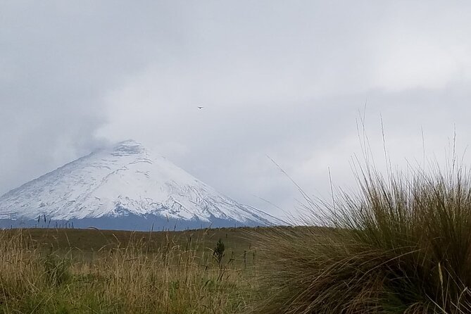 Full-Day Cotopaxi Tour: Adventure Awaits - Pricing Details and Inclusions