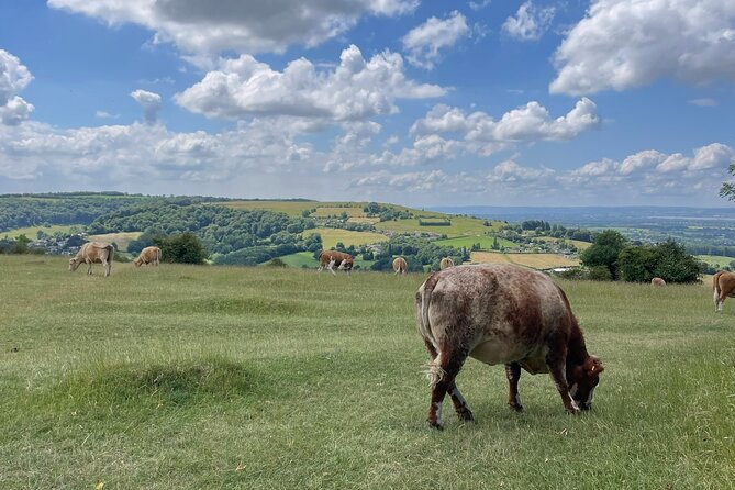 Full Day Cotswolds Tour; Where Opulence and Heritage Converge - Directions for the Cotswolds Tour