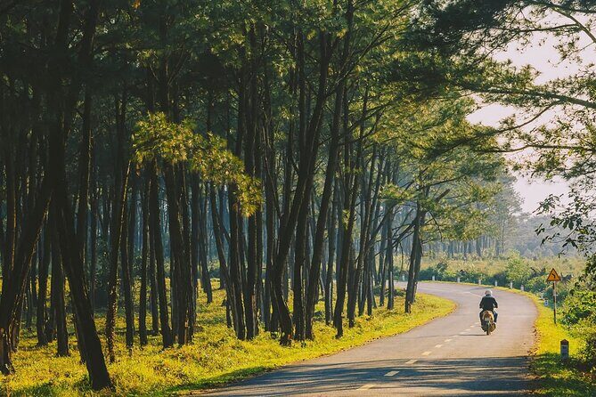 Full Day Countryside Motorbike Adventure from Dong Hoi - Good To Know