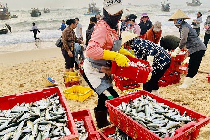 Full Day Countryside Motorbike Adventure from Dong Hoi - Afternoon at a Small Forest Stream