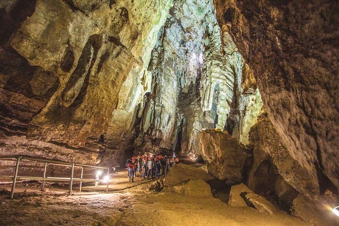 Full-Day Cradle of Humankind Guided Tour From Johannesburg or Pretoria - Additional Highlights