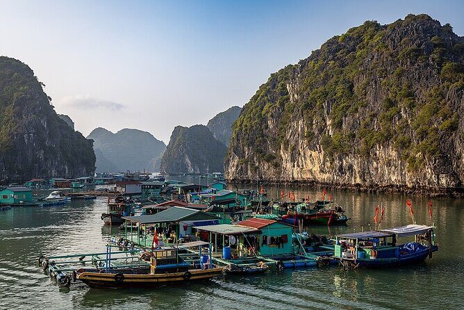 Full Day Cruise in Lan Ha Bay - A Closer Look at the Itinerary and Experience