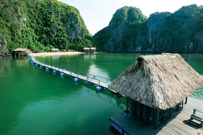 Full Day Cruise in Lan Ha Bay - Who Should Consider This Tour?