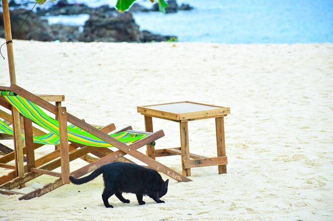 Full-Day Cruise of Khai Nok and Khai Nai Island by Luxury Speedboat With Lunch - Timing and Itinerary