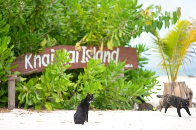 Full-Day Cruise of Khai Nok and Khai Nai Island by Luxury Speedboat With Lunch - Activities and Highlights