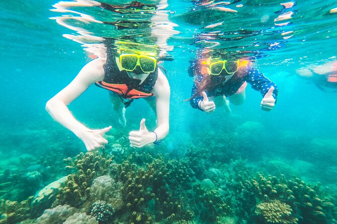 Full-Day Cruise of Koh Nang Yuan and Koh Tao From Koh Samui - Snorkeling and Marine Life