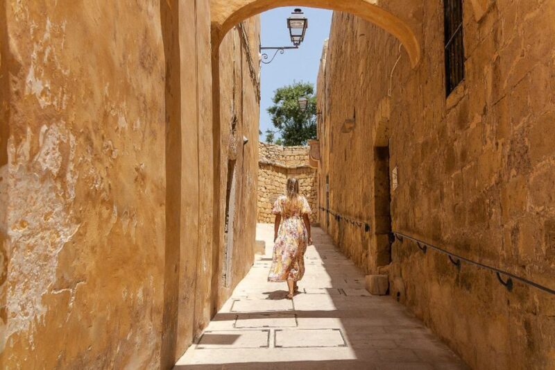 Full Day Cruise to Gozo & Blue Lagoon with visit to Rabat - Transportation and Group Dynamics