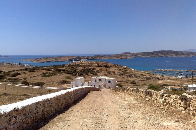 Full-Day Cruise to Koufonisi Island From Paros - Inclusions