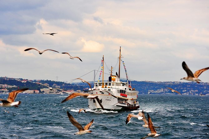 Full Day Cruise Tour in Bosphorus and Two Continents - Inclusions and Logistics