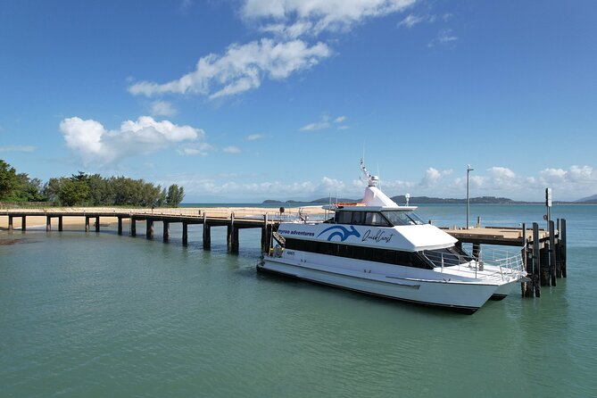 Full Day Cruise Xpedition to Fitzroy, Kent and Dunk Islands - Wildlife Encounters