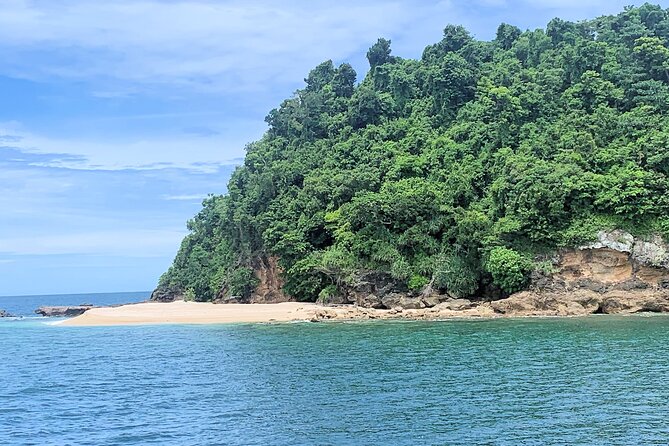 Full Day Cruise Xpedition to Fitzroy, Kent and Dunk Islands - The Sum Up