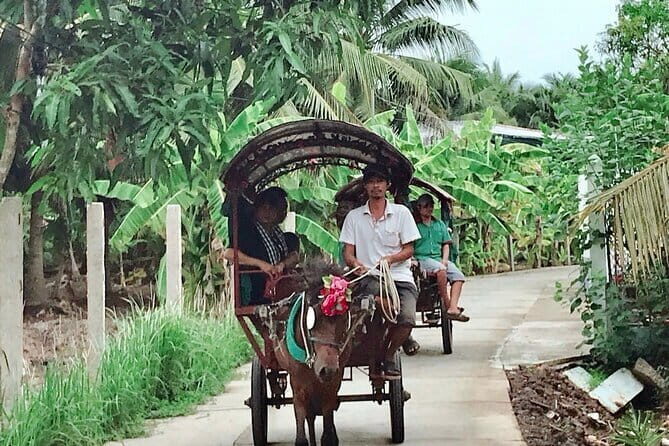 Full day Cu Chi Tunnels and Mekong Delta - Transportation and Logistics