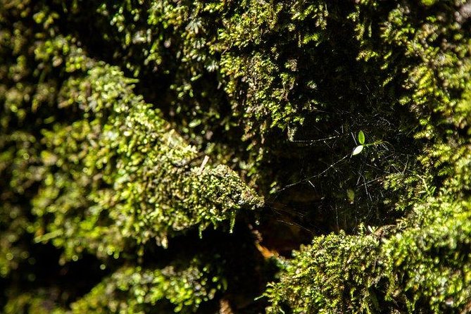 FULL-DAY CUC PHUONG NATIONAL PARK From HA NOI - Whats Included