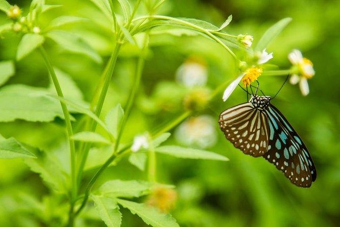 FULL-DAY CUC PHUONG NATIONAL PARK From HA NOI - Meeting and Pickup Details