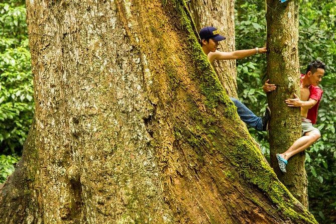 FULL-DAY CUC PHUONG NATIONAL PARK From HA NOI - Directions