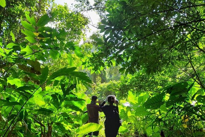 Full-Day Cuc Phuong National Park Hiking Tour - Booking and Cancellation Policy