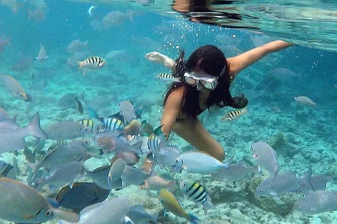 Full-Day Culebra and Flamenco Beach Snorkel Tour From San Juan - Negative Reviews