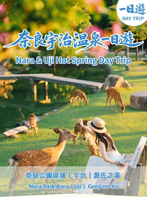 Full-Day Cultural Heritage Tour of Nara and Uji - From Osaka to Nara’s deer park