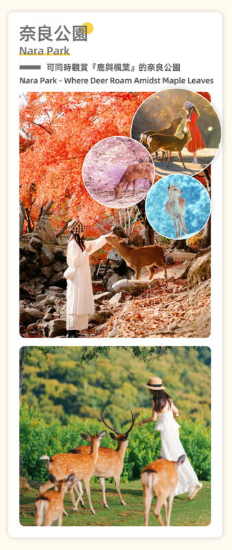 Full-Day Cultural Heritage Tour of Nara and Uji - Price, inclusions, and the real value