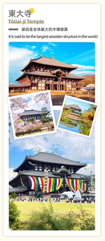 Full-Day Cultural Heritage Tour of Nara and Uji - Timing, weather, and practical details
