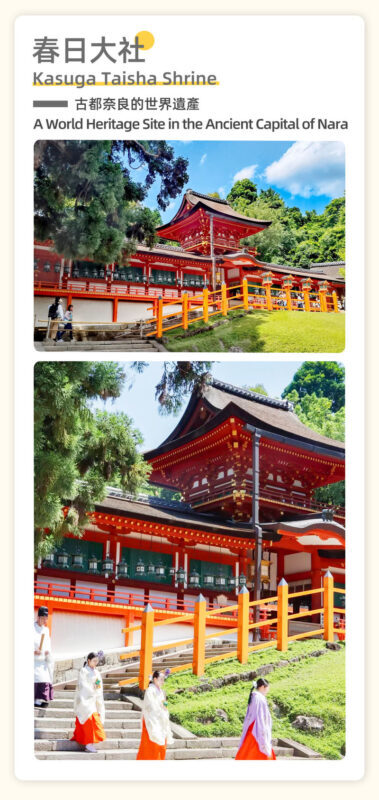 Full-Day Cultural Heritage Tour of Nara and Uji - Who should book this Nara and Uji day trip?