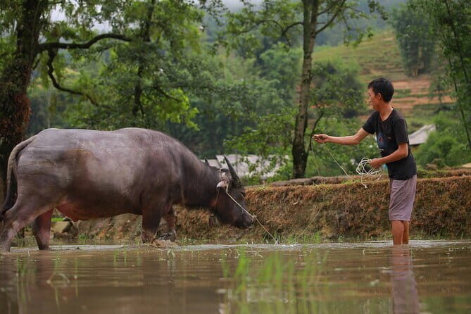 Full Day Cultural Tour in Sapa Terraces - Good To Know