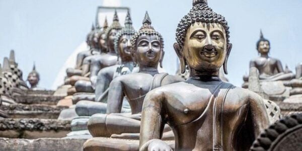 Full Day Custom Colombo City Tour From Colombo Harbor! - The Sum Up
