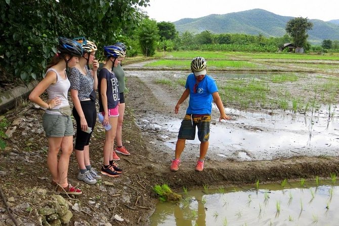 Full-Day Cycle and Kayak Trip in Sri Lanna National Park - Trip Details