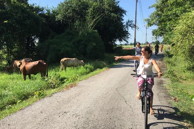 Full Day Cycling Tour to Sukhothai Historical Park - The Sum Up