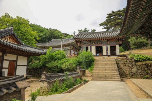 Full-Day Daegu Tour: Cultural Charms & Scenic Views - Questions You May Have