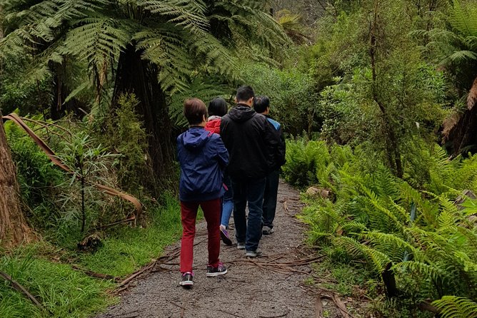 Full-Day Dandenong Ranges Tour With Pickup From Melbourne - Contact and Assistance