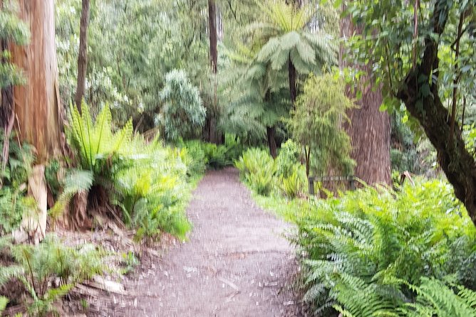 Full-Day Dandenong Ranges Tour With Pickup From Melbourne - The Sum Up