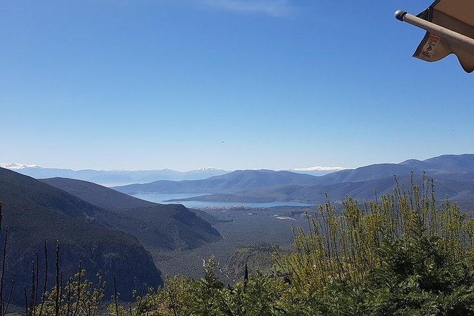 Full Day Delphi Private Tour - Reviews