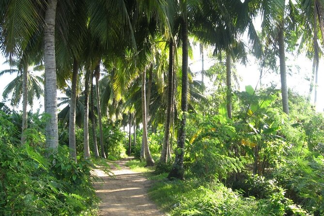 Full Day Deluxe Small Group Tour to Mekong Delta - Transportation Details