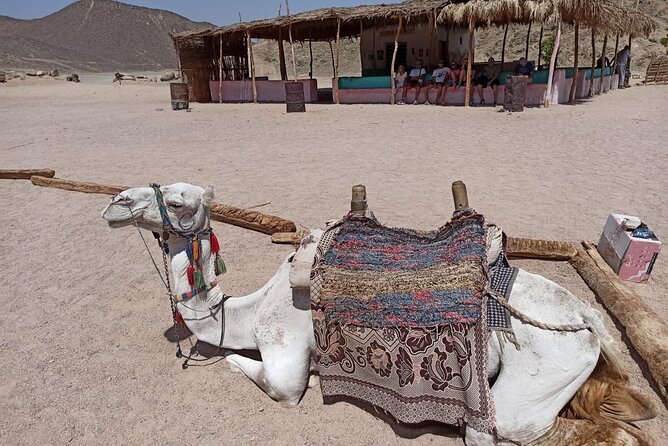 Full-Day Desert Safari in Hurghada With Dinner and Camel Ride - Good To Know