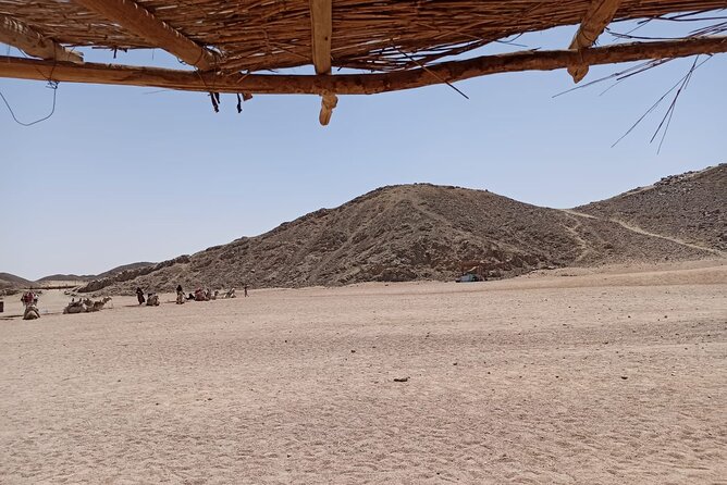 Full-Day Desert Safari in Hurghada With Dinner and Camel Ride - Included In the Package