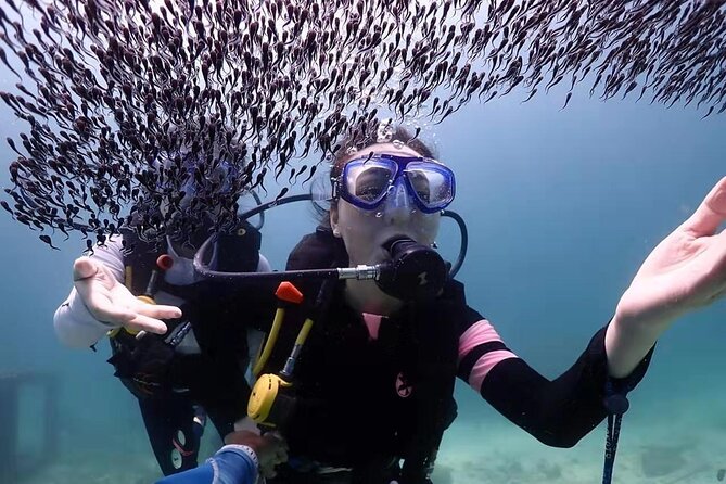 Full-Day Diving Adventures for Non Certified Divers From Phuket - Common Questions
