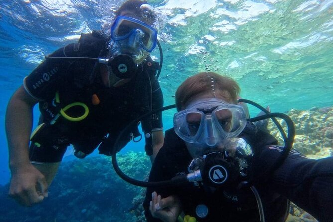 Full-Day Diving Trip With Lunch in Hurghada - Maximum Travelers