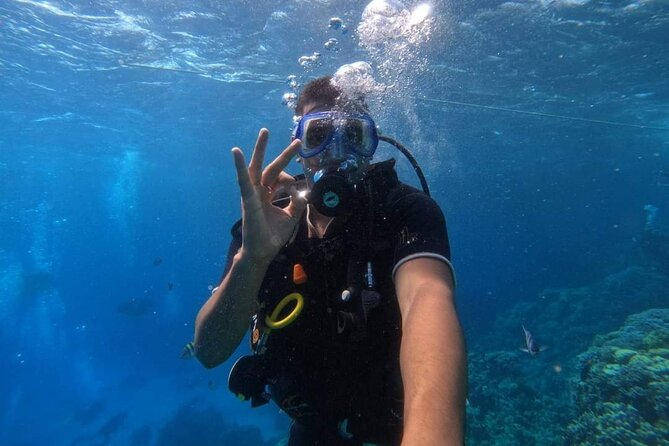 Full-Day Diving Trip With Lunch in Hurghada - Pricing Details