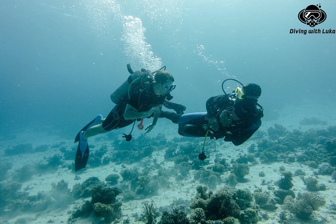 Full Day Diving With Private Guide, Lunch Drinks Transportation - Tour Logistics