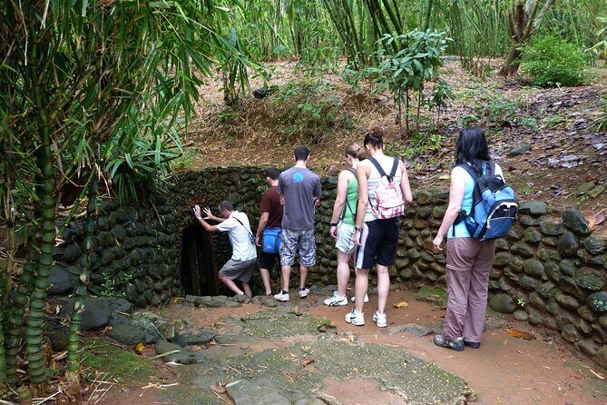 Full-Day DMZ Tour: 17th Parallel, Vinh Moc Tunnel & Khe Sanh Base - Final Thoughts