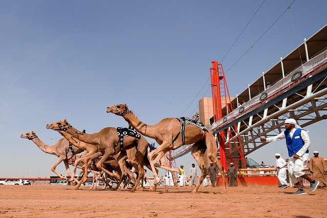 Full-Day Doha City Sightseeing Tour With History, Culture, Art, Gardens, Souk - Cancellation Policy and Refund Information