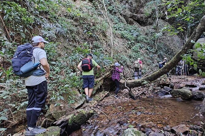 Full Day Doi Saket Hiking Tour - Introduction