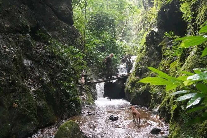 Full Day Doi Saket Hiking Tour - In-Depth Itinerary Breakdown