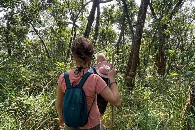 Full Day Doi Saket Hiking Tour - FAQ