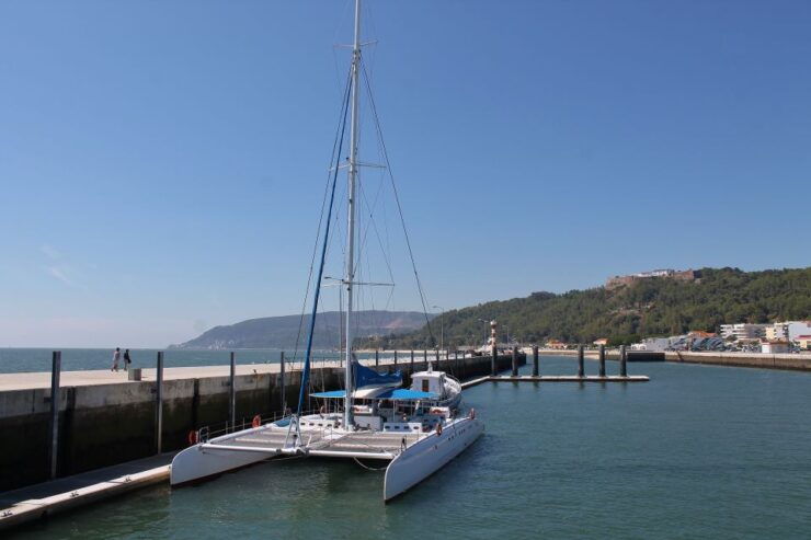 Full-Day Dolphin Watching Tour From Lisbon - Booking Details