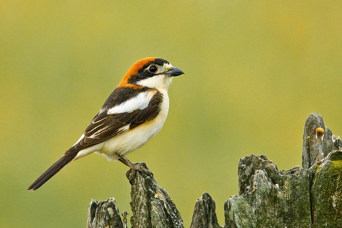 Full-Day Donana National Park Tour From Seville - End Point and Logistics