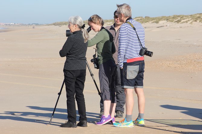 Full-Day Donana National Park Tour From Seville - Tour Highlights