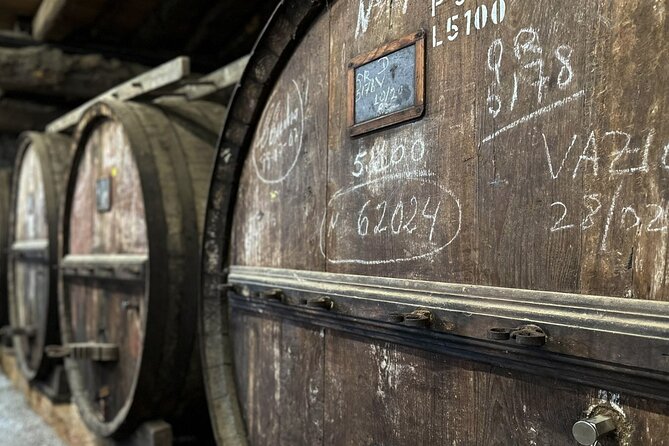 Full Day Douro Valley River Cruise Tour With Wine Tastings - Whats Included